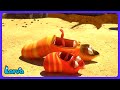 Larva - Su Bulma Yarışı! 💦 | Çocuk Çizgi Film | WildBrain Eğlence Parkı