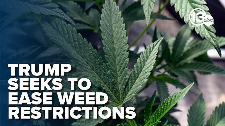 Trump may reclassify marijuana to less restricted status, report says