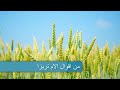 من اقوال الام تيريزا 