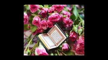 سورة الرحمن الجزء الثاني 🤍