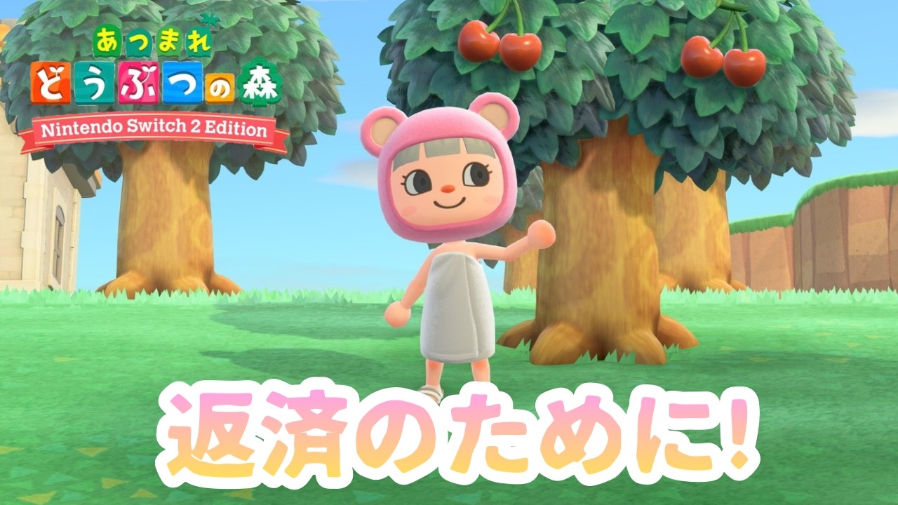 【あつまれどうぶつの森】#20 がんばる日！【蜂蜜ぷりん/ぶいぱい】