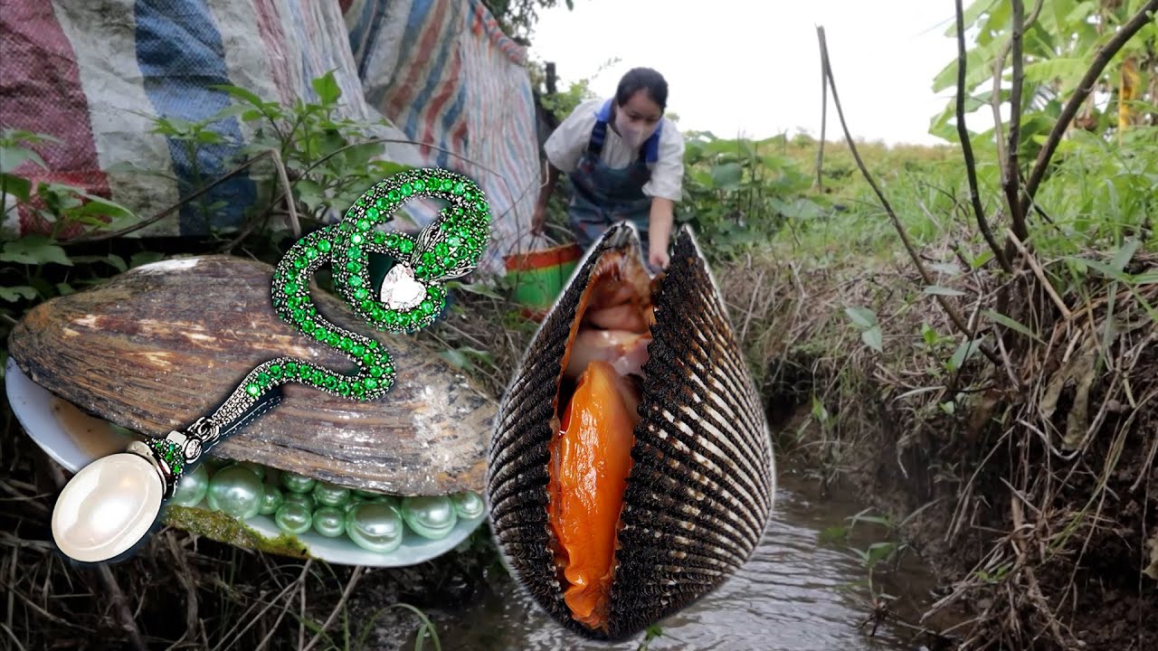 Pearls spit out by clams that have emerged from the mud and sand