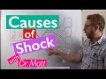 Causes of Shock