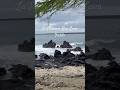 Hiking Maui's Lava Fields