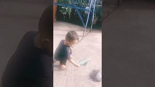 kura-kura mati#shortvideo #short #viral #viralvideo #video#video #vidioshort
