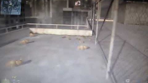 Quick GLiTCH #2- Get on top of Highrise building.mp4