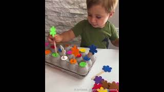 Celebrity EGG CARTON COLOR SORTING AND FINE MOTOR 🌼 - Montessori Activities Wealth