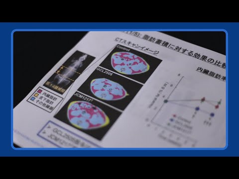 ビフィズス菌 Bifix ビフィックス メタボ抑制効果の研究 8分10秒 グリコ Youtube