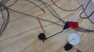HANS Motion Flag Using Servo