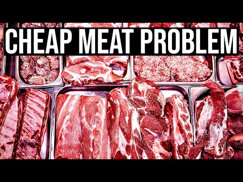 Video: BREAKING NEWS RECALL ALERT - Carnivore Meat Company reamintește alimente crude din cauza Salmonella