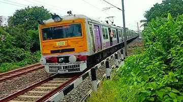The Forest Adventure Of EMU : The Single Windshield EMU Local Train Spotted Crossing Forestry Path