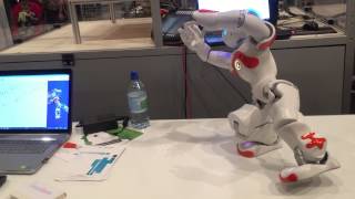 Robotic Day, Nantes Digital Week 2015 : robot Nao fait du tai chi