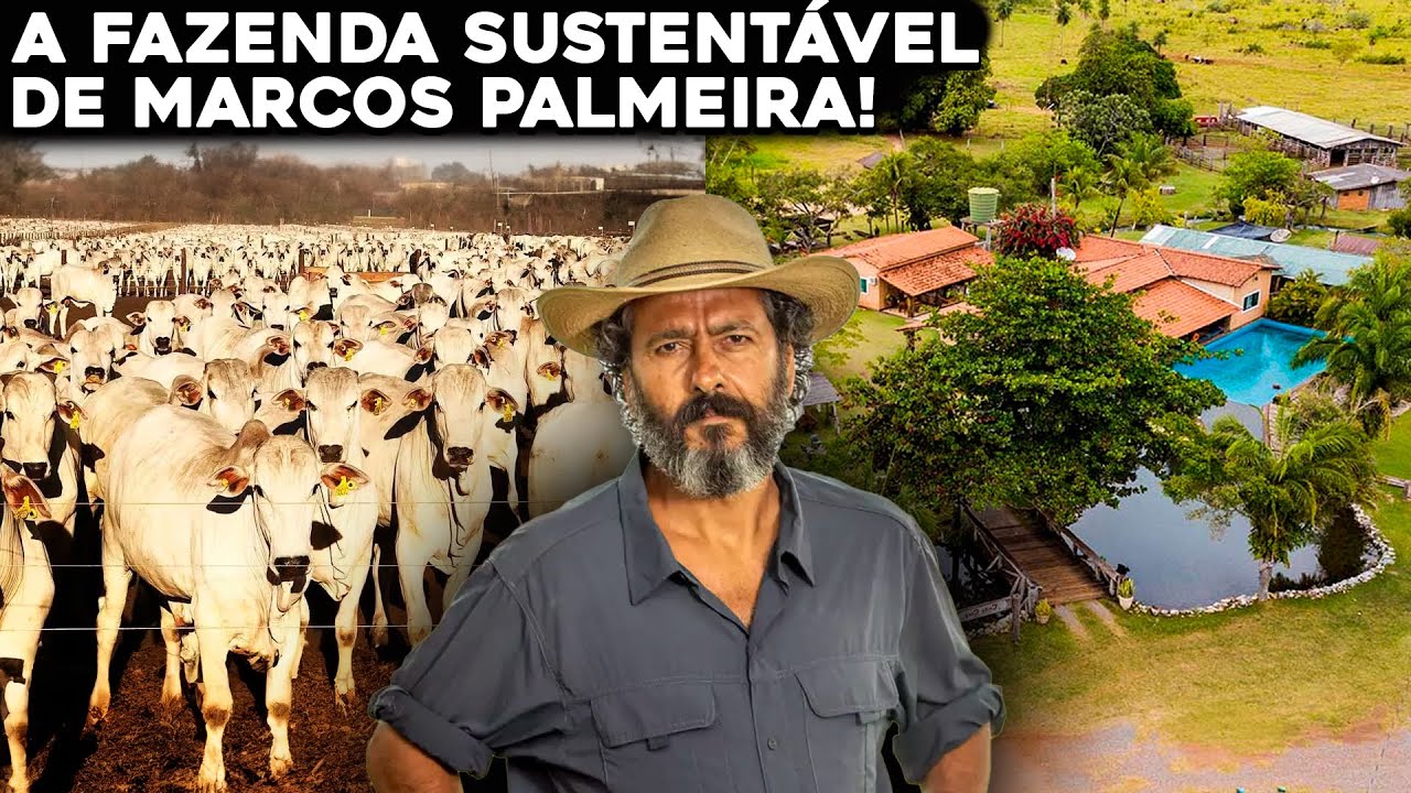 A FAZENDA MILIONÁRIA E AUTO-SUSTENTÁVEL DE MARCOS PALMEIRA