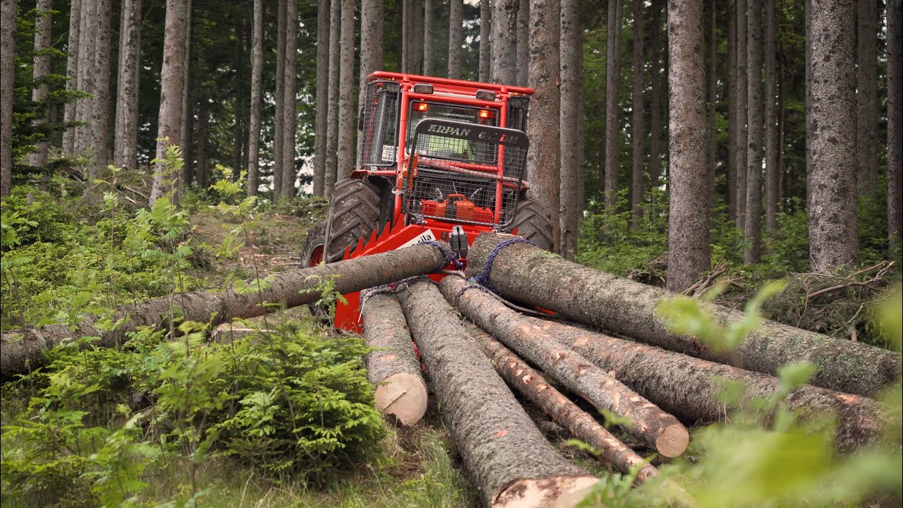 🌲Umlenkrolle Seilwinde: Wenn du das nicht beachtest #wildaufwald 