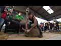 Ivan Scott Breaks World Record! |Big Week on the Farm | RTÉ ONE