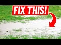 How to Fix Standing Water in the Lawn - Low Spot Drainage with Catch Basin