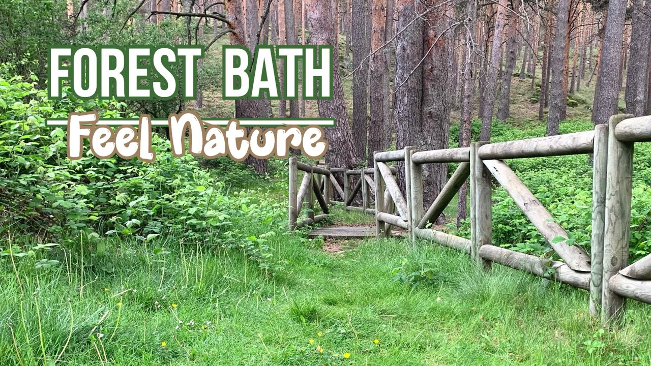 😊🌿CONNECT WITH HAPPINESS. START YOUR DAY WITH JOY. ELIMINATE STRESS AND