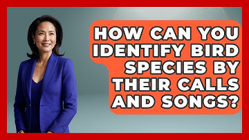How Can You Identify Bird Species by Their Calls and Songs? | Bird Watching Diaries