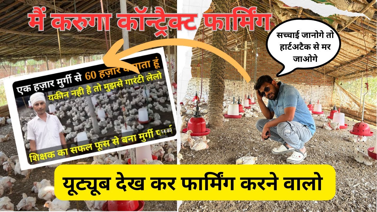 आओ आज हम आपको दिखाते कैसे लाखो की कमाई की जाती है कॉन्ट्रैक्ट फार्मिंग मैं। #poultrykishaan