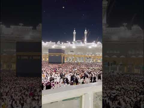 19 ماي 2026