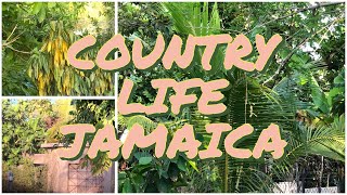 S02E08: COUNTRY LIFE SWEET || CLARENDON|| JAMAICA VLOGS 2021|| SABSTYLE TV