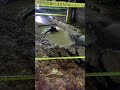 Pool in the road, Jamaica is not a real place