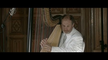 Sting : Fragile - François Pernel Harp Cover