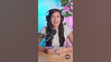 What’s the Best Filter for Pet Dander?