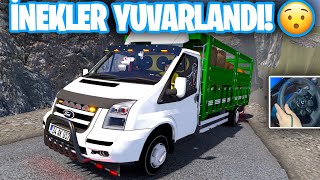 FORD TRANSİT İLE İNEK TAŞIDIK !!! | İNEKLER YUVARLANDI !!! | ETS 2 FORD TRANSİT KAMYONET | ETS 2 MOD