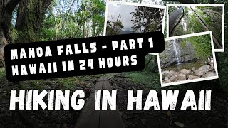 Epic Jungle Hike To Manoa Falls - Hawaii In 24 Hours Part 1