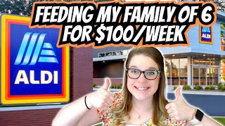 $100 Extreme Grocery Budget Part 1 Week 1 | Feeding my Family of 6 on $100 a Week