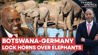 Botswana Threatens to Send 20,000 Elephants to Germany | Firstpost America