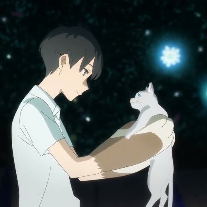 a whisker away | lofi