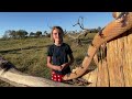 Classroom in the African Bushveld | Episode 47 | The Eastern Tiger Snake