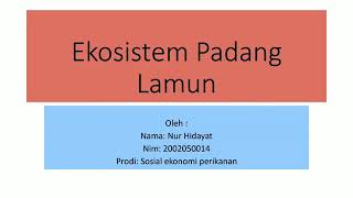 ekosistem Padang lamun