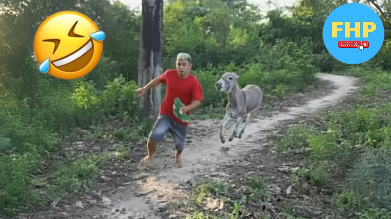Try Not To Laugh 😂 Top 100 Funniest Videos Ever | 99% FAIL This Challenge #32