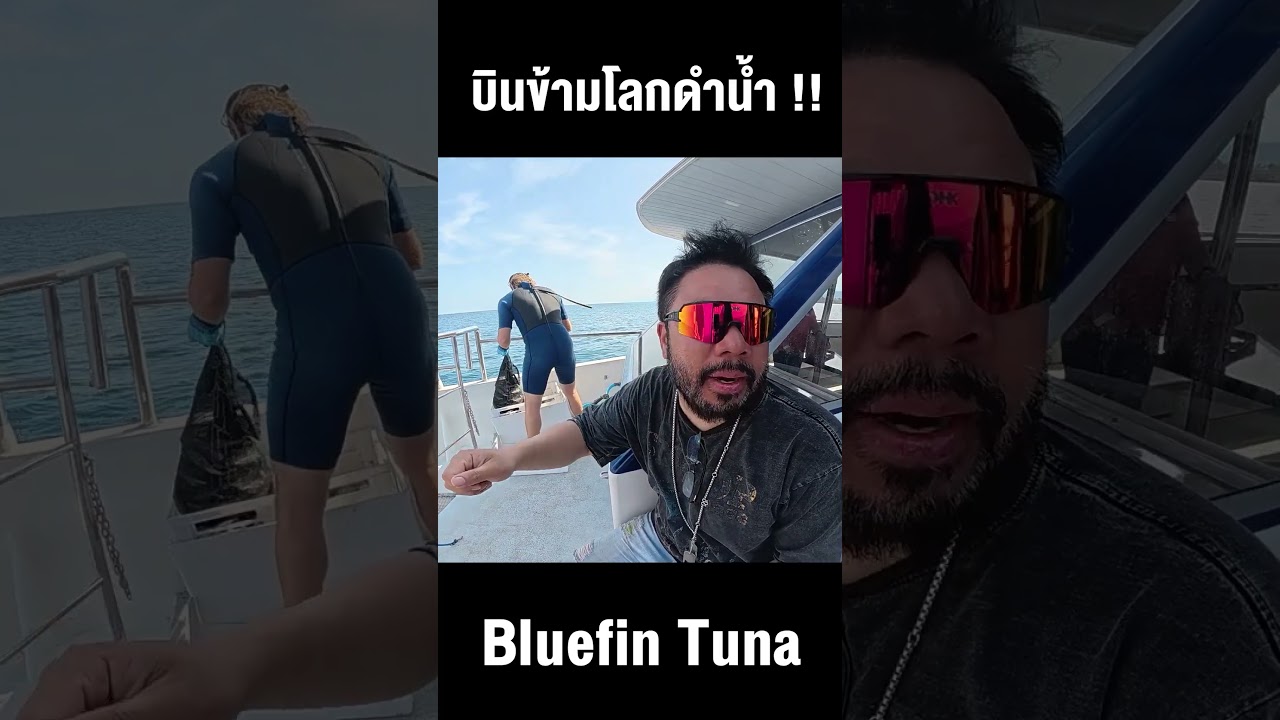 บินข้ามโลกว่ายน้ำกับ Bluefin tuna !!