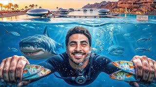 Vlog 17 | I Swam with Sharks in the Red Sea! | The Experience of a Lifetime 🦈