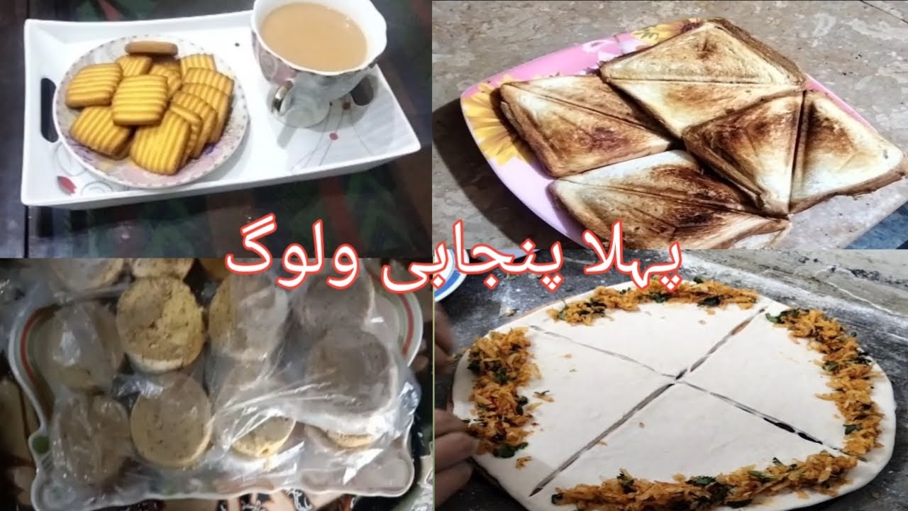 My First Punjabi Vlog || Middle  class working women vlog