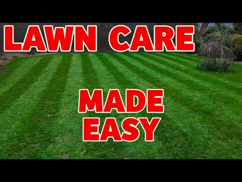 Video: Growing Green Carpet Lawns - Verwendung von Herniaria-Bodendeckern als Rasenersatz