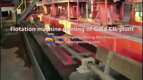 Flotation machine running of Gold CIL plant