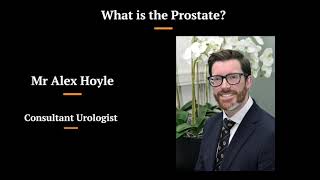 What is the prostate? - Prostate function explained by a Urologist