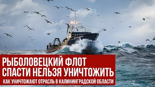 Уничтожение рыбопромысловой отрасли в Калининградской области