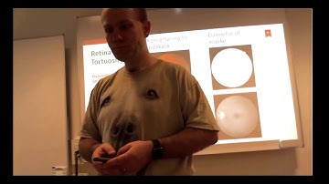 STTBDP12_1 - Retina Vessel Tortuosity