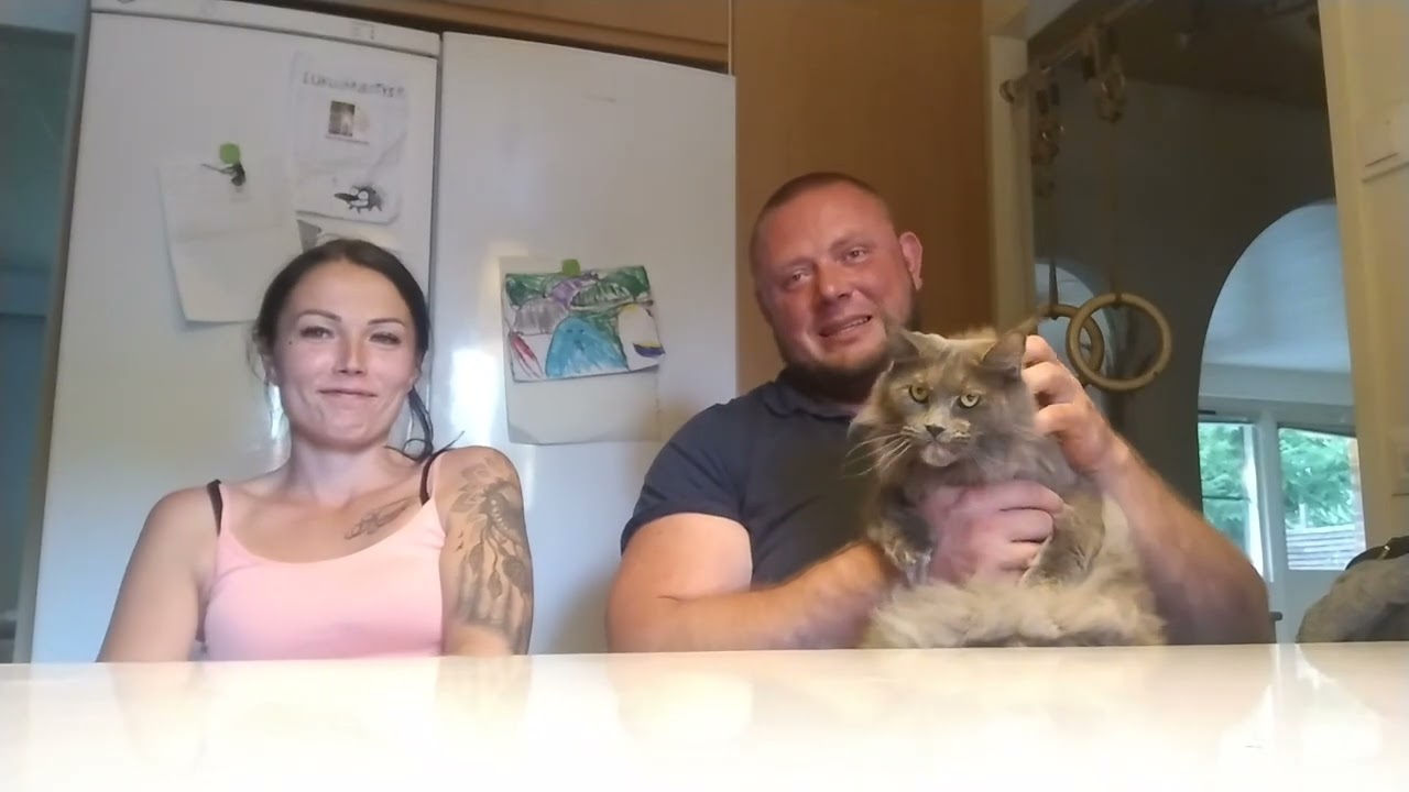 www.youtube.com