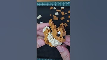 Nanoblock Eevee Timelapse 🦊✨ #nanoblock  #lego #toys #pokemon #pixelart #eevee #diy #brick