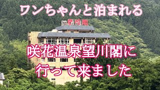 (ワンちゃんと泊まれる宿)新潟県　咲花温泉　阿賀のめぐみホテル望川閣