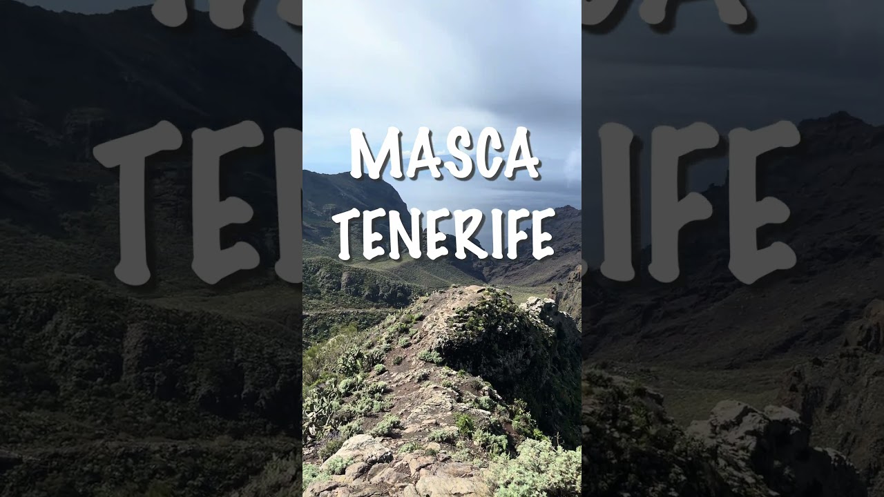 MASCA ROAD TRIP | What to Expect