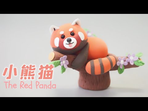 小熊猫 hqdefault.jpg