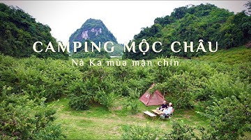 Cắm trại trong rừng mận cổ | Mộc Châu Vlog #01 | Giao Chỉ Camper